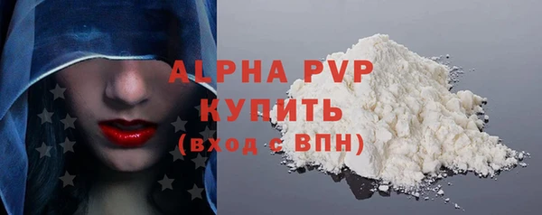 гашик Дмитриев