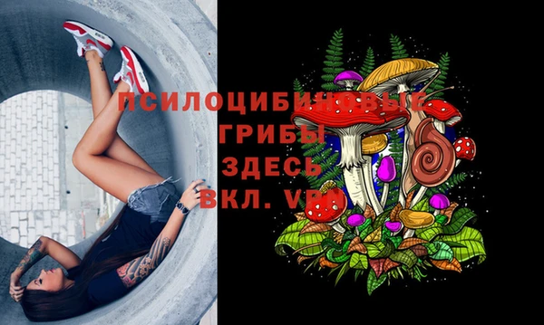 а пвп мука Дмитровск