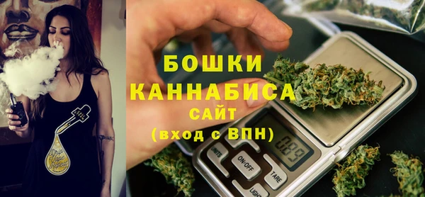 гашик Дмитриев