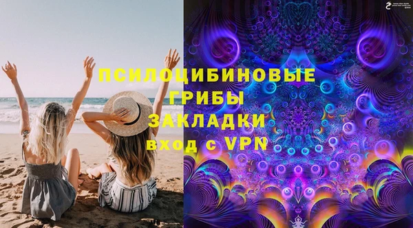 гашик Дмитриев