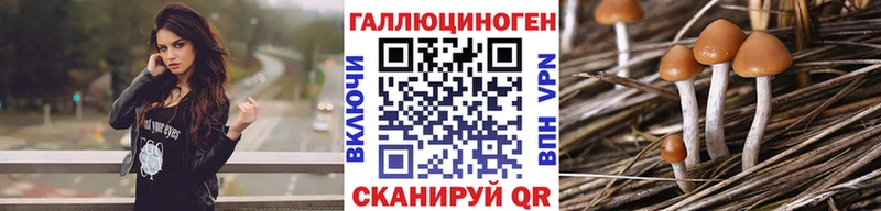 Псилоцибиновые грибы Psilocybe  купить закладку  Малаховка 